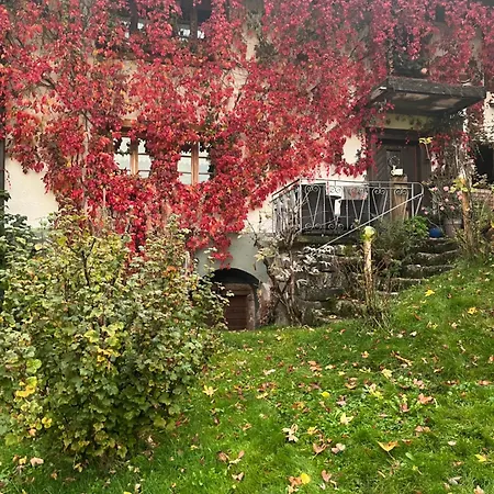 Tinywohnung * Schluchsee
